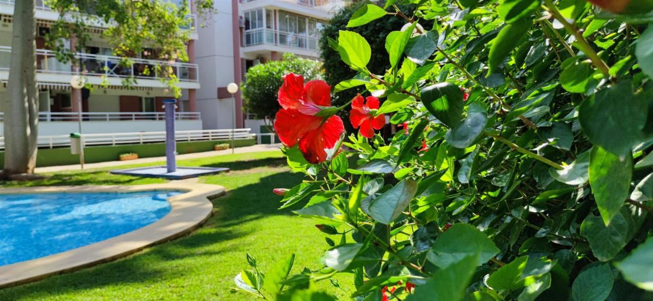 Apartamento Dianium By Denia Costa Eksteriør bilde